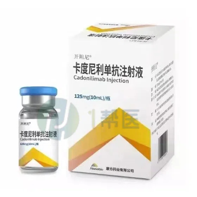 深入了解卡度尼利单抗：使用指南、潜在风险、费用及获取途径